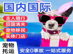 曹家堡航空运输国际宠物托运 【国